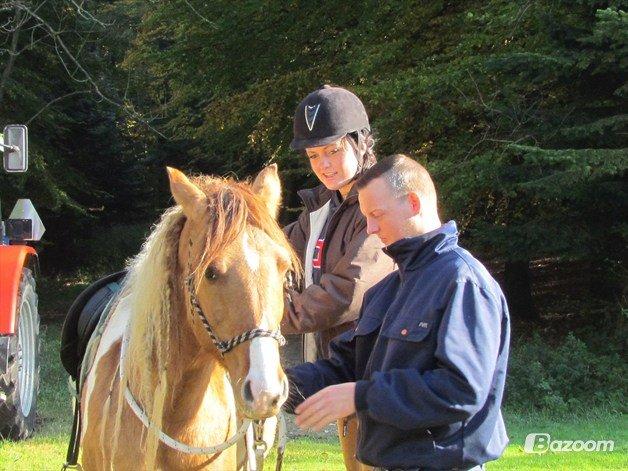 Anden særlig race Scirocco billede 9