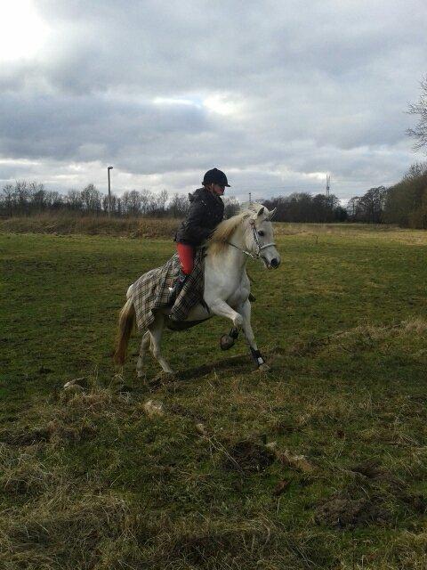 Anden særlig race Duet- min stjerne<3 - Duet tuller op af banketten en vinterdag 2013<3 billede 12