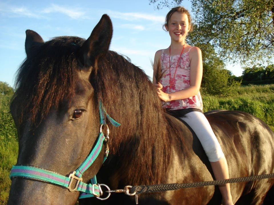 Anden særlig race Marlot -solgt billede 4