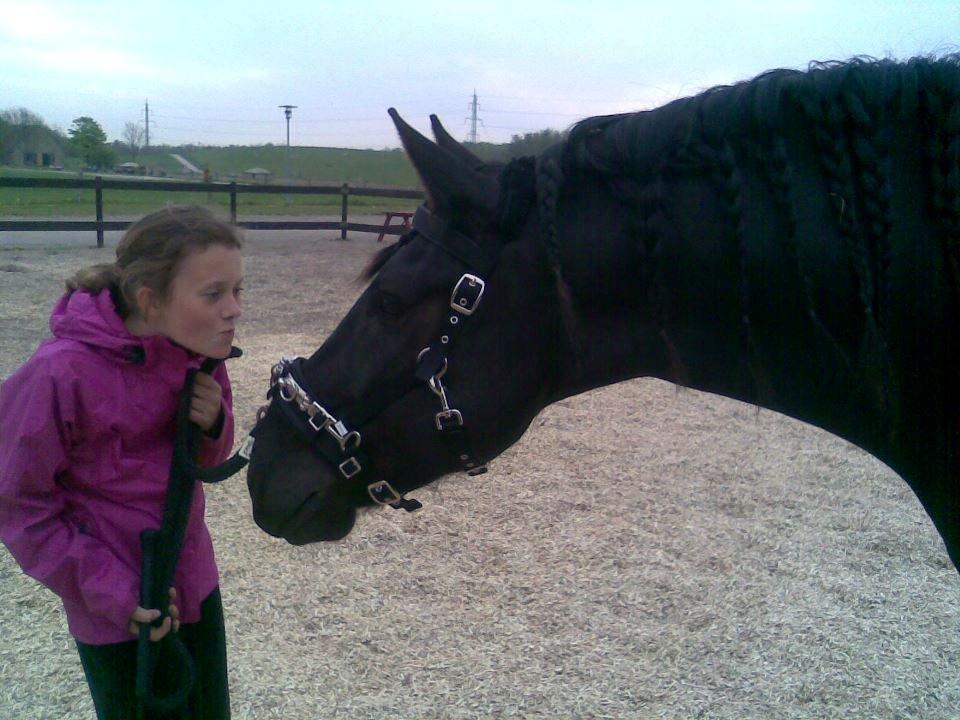 Anden særlig race Marlot -solgt billede 9