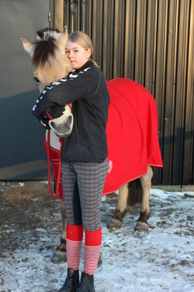 Fjordhest Silja<3 - Silje Thorslunde ¤My Soulmate¤ - Min lille Putte <3 -og ja, den kan godt lide det! xD Foto: Lyhne
 billede 20