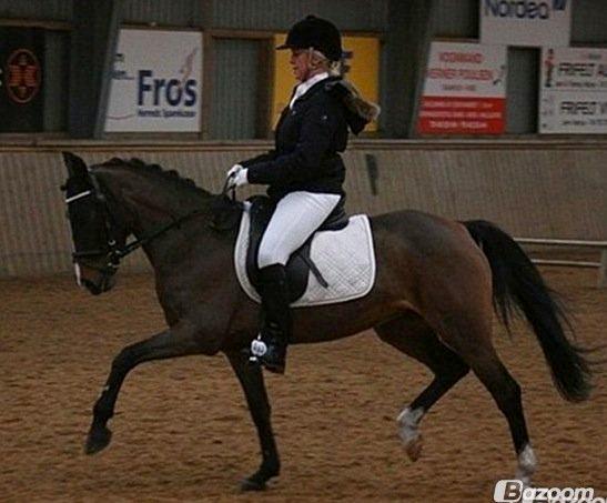 Anden særlig race Angel [B-pony] Solgt billede 6