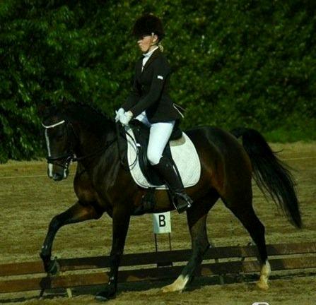 Anden særlig race Angel [B-pony] Solgt billede 12