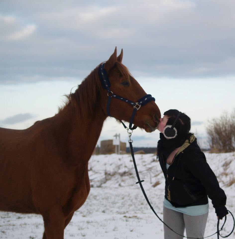 Anden særlig race Sheffield *min Baby*<3 - „A real friend is someone who accepts you past, believes in your future, and like you, as you are now.“ billede 11