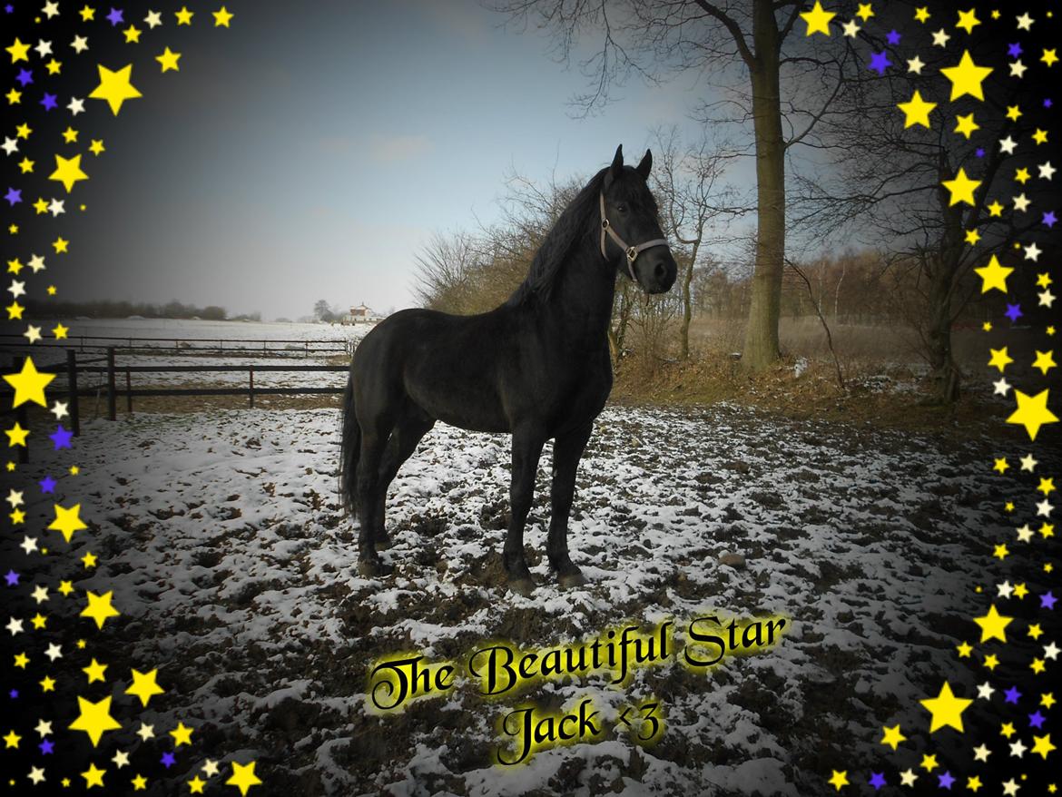 Frieser Jack Whiskey (Bassen <3) billede 8