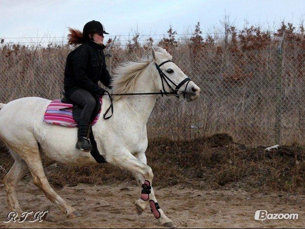 Pinto Marcia<3(Divaen<3) - Jeg kan kun det her på dig min pige!<3 billede 15