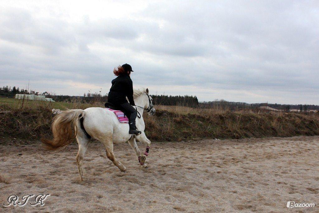 Pinto Marcia<3(Divaen<3) - Tak fordi i kiggede forbi!<3 billede 20