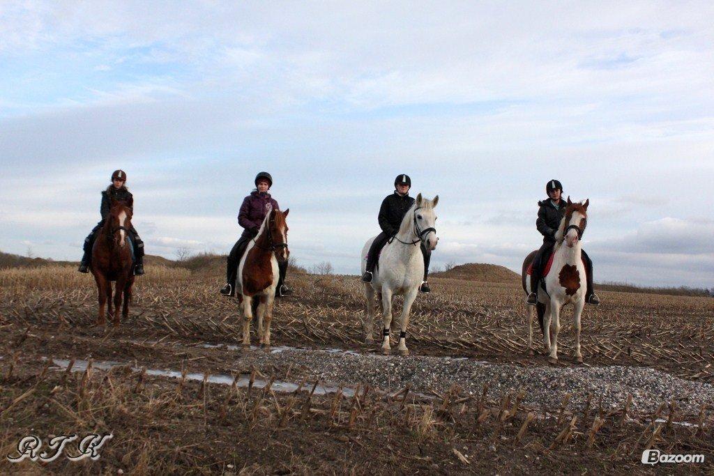 Pinto Marcia<3(Divaen<3) - Gruppebillede!<3<3 billede 12