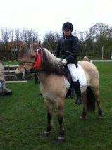 Fjordhest Vigdis R.I.P d. 18/1-14 - 1. plads... Du er så dygtig Viggo <3 billede 10
