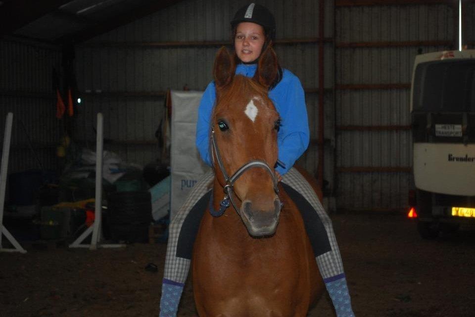 Anden særlig race Fox (Foxi) billede 4