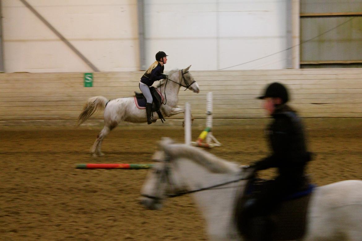 Anden særlig race Lotte - Hun har måske lidt damp, og hvad så...?
Jeg synes i hver til fald hun er fantastisk!! <3 billede 13