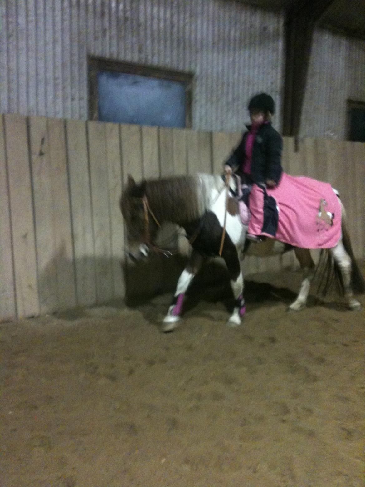 Anden særlig race Perle billede 1