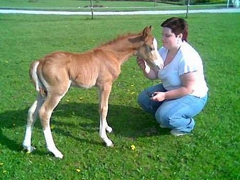 Anden særlig race Tabascho - Tabascho og Annie, 2006 billede 15