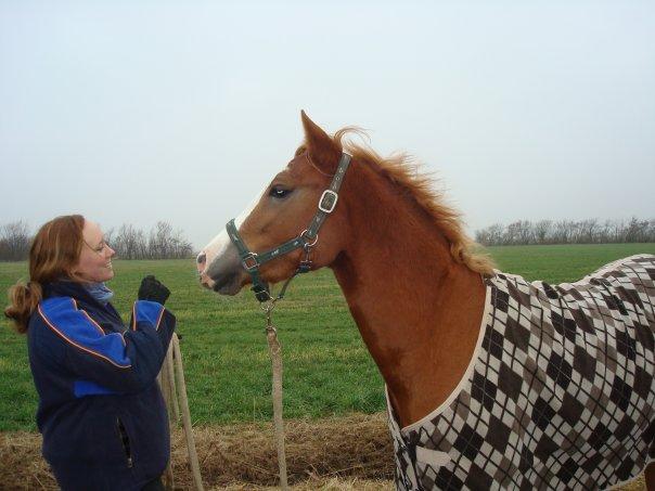 Anden særlig race Tabascho - Tabascho som treårs inden tilridning sammen med undertegnede... billede 7