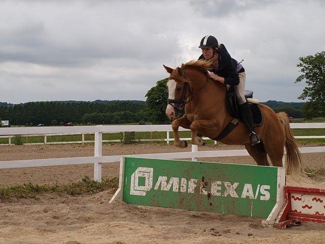 Anden særlig race Tabascho - Tabascho 2010 billede 2