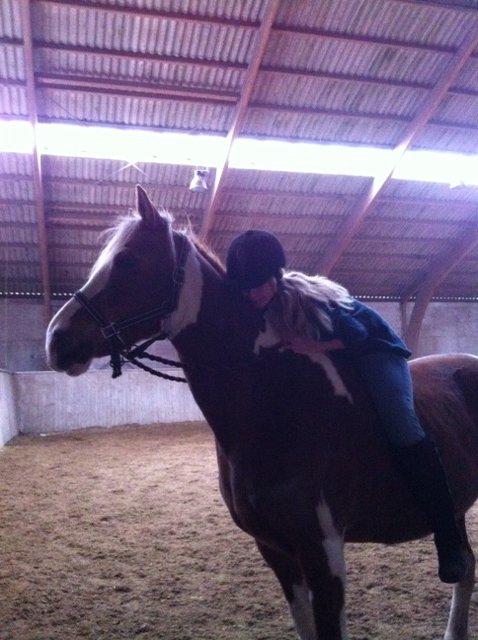 Pinto † Pucahontas † - du fylder mig hjerte med kærlighed og lykke!  billede 8