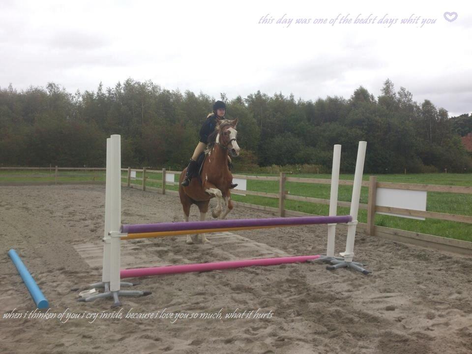 Pinto † Pucahontas † - med dig kan jeg alt! <3 billede 5