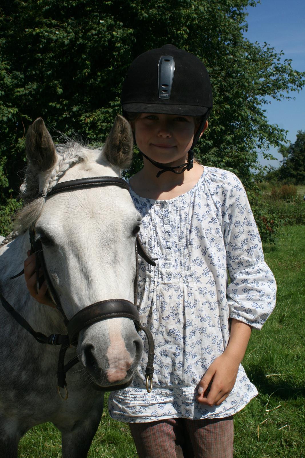 Welsh Mountain (sec A) Ailani Abildgrå - Ailani min første pony billede 10