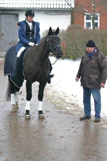 Oldenborg Evita af Hvarre billede 13