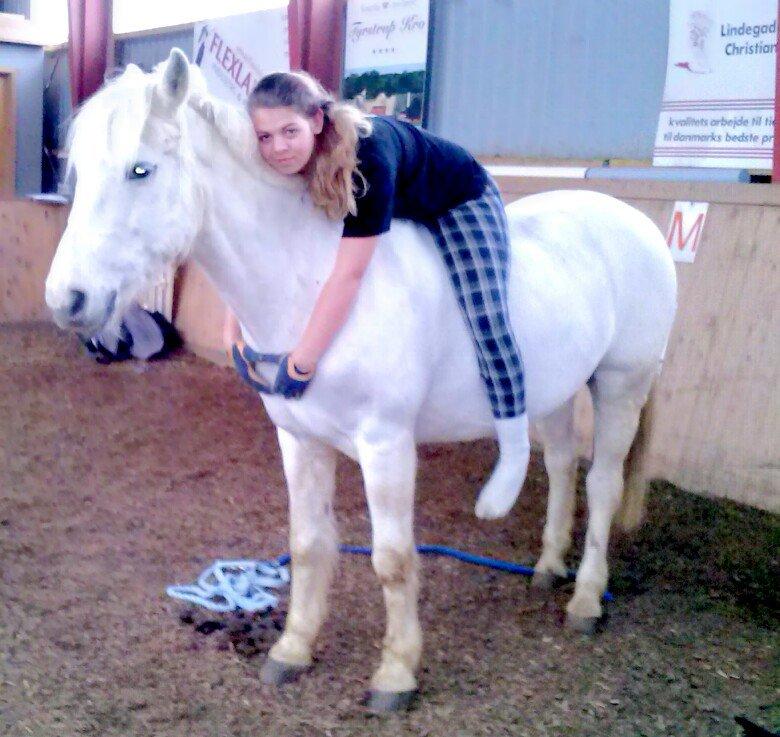 Anden særlig race Prince Alsace • Rest in peace • - At stole på en hest er noget af det største for en ridepige, jeg stolede blindt på ham <3 billede 3