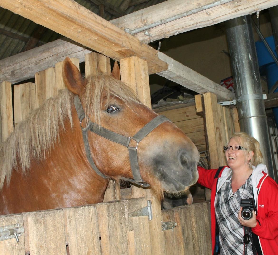 Jyde Laif den lykkelige (avl) billede 4