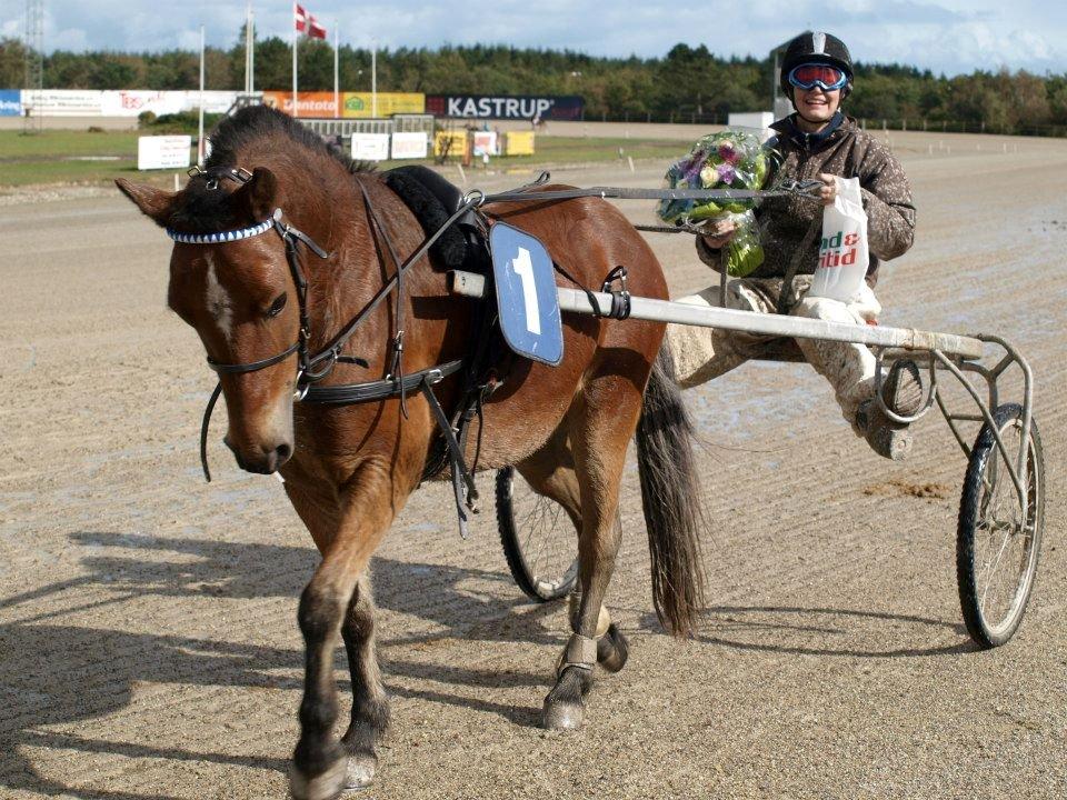Gotlandsruss Pegasus Pan - Skive 2012: 1. plads og ny rekord 2.41.3 billede 20