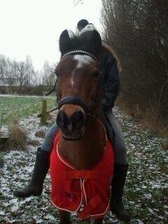 Anden særlig race Laban |*Mit ét og alt<3*| billede 20