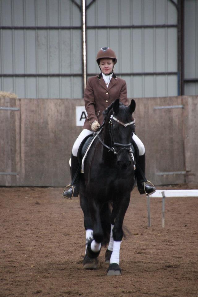 Frieser Jeltsje fra Sonderladegaard(Passer) billede 19