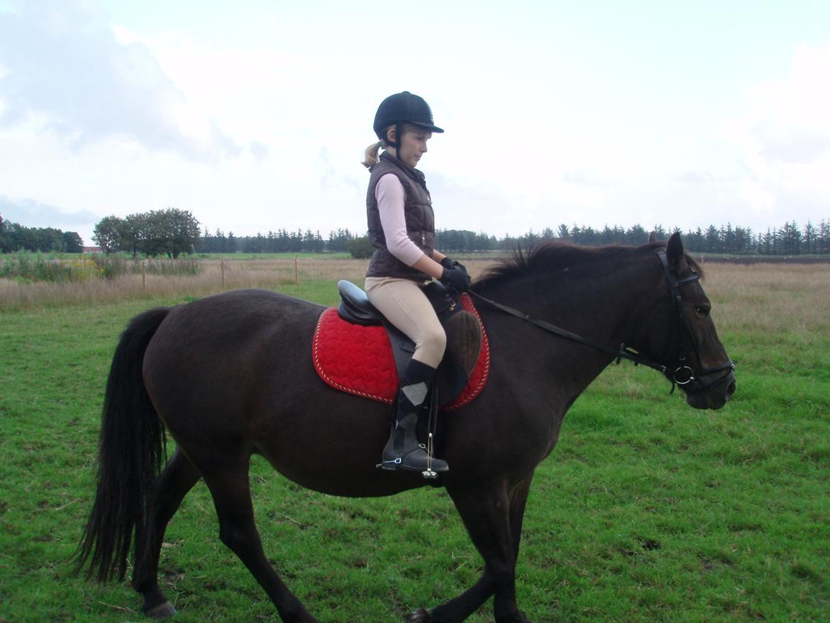 Anden særlig race Miss Minerva ( Minnie ) *solgt* billede 6