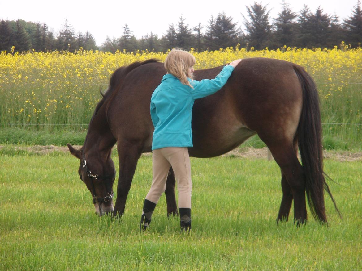 Anden særlig race Miss Minerva ( Minnie ) *solgt* billede 3
