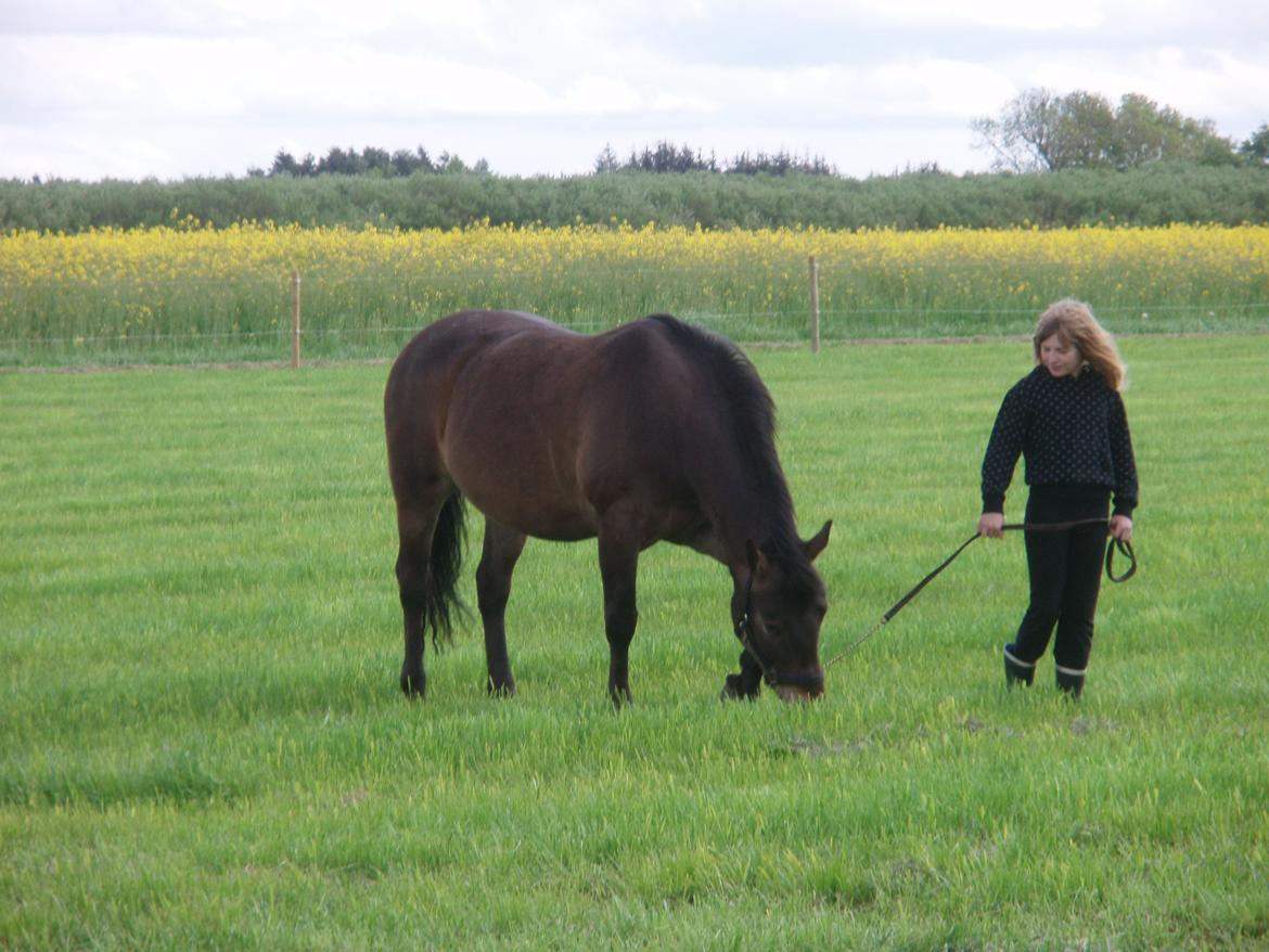 Anden særlig race Miss Minerva ( Minnie ) *solgt* billede 5
