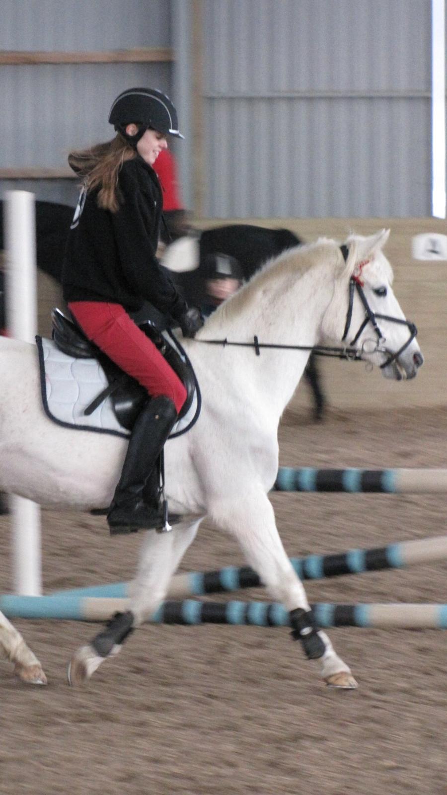 Welsh Pony (sec B) Lyngvejens Eliza - Første gang jeg prøvet hende!<3 :-* billede 2