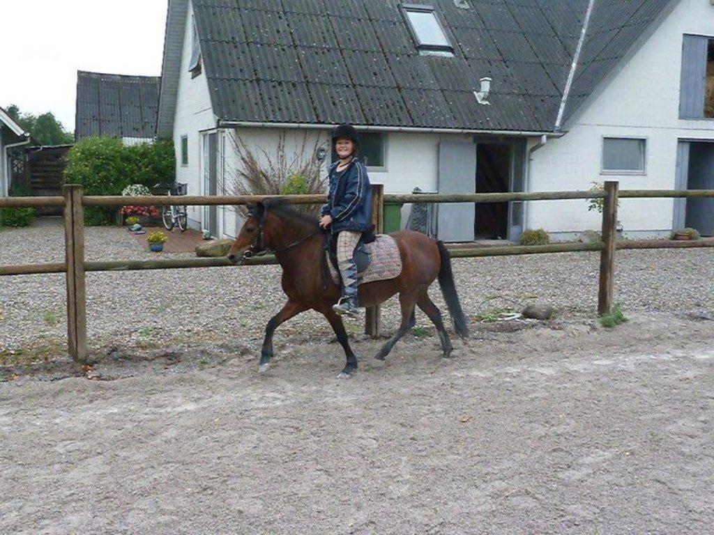 Anden særlig race Lotte<3<3(skinkelynet) - Ridelejer 2010
Træning:) billede 9