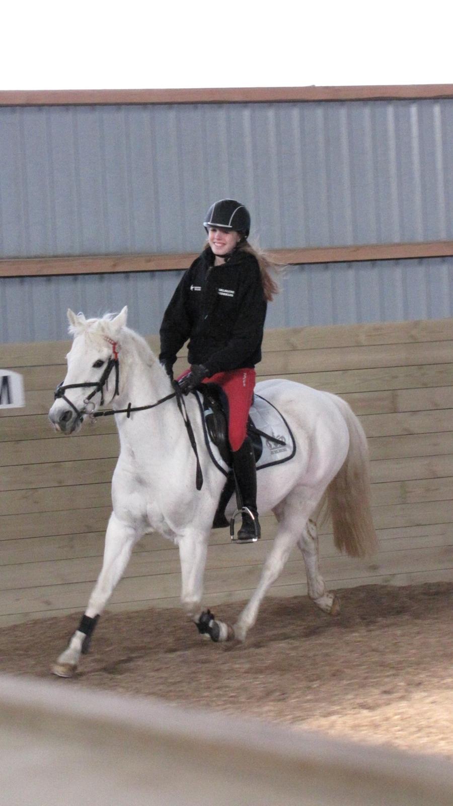 Welsh Pony (sec B) Lyngvejens Eliza - Liv Wedervang & Lyngvejens Eliza! billede 14