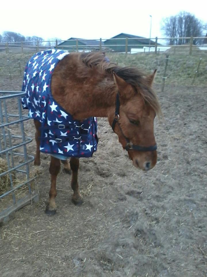 DSP Baily - Baby star<3 billede 3