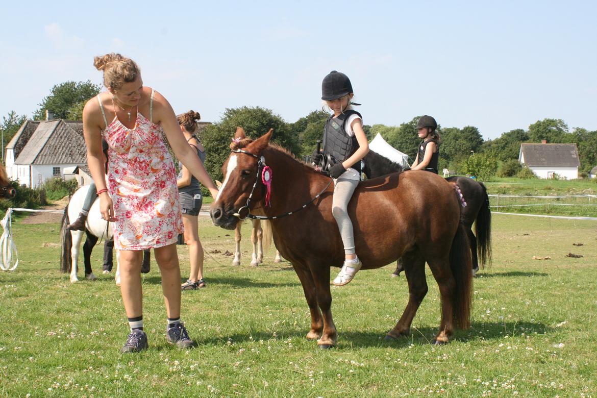 Shetlænder Mona - Ridelejr 2012 billede 3