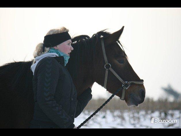 Pinto Dark Daimond<3 billede 2