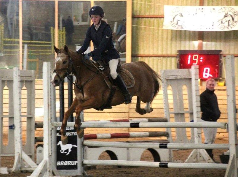 Anden særlig race Sweet Cherry [B-Pony] Aflivet billede 16