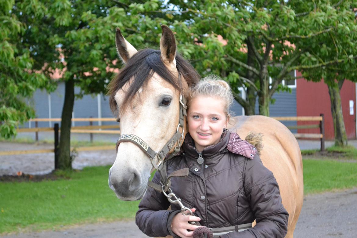 Anden særlig race penny lane - penny lane og kathrine have! billede 16