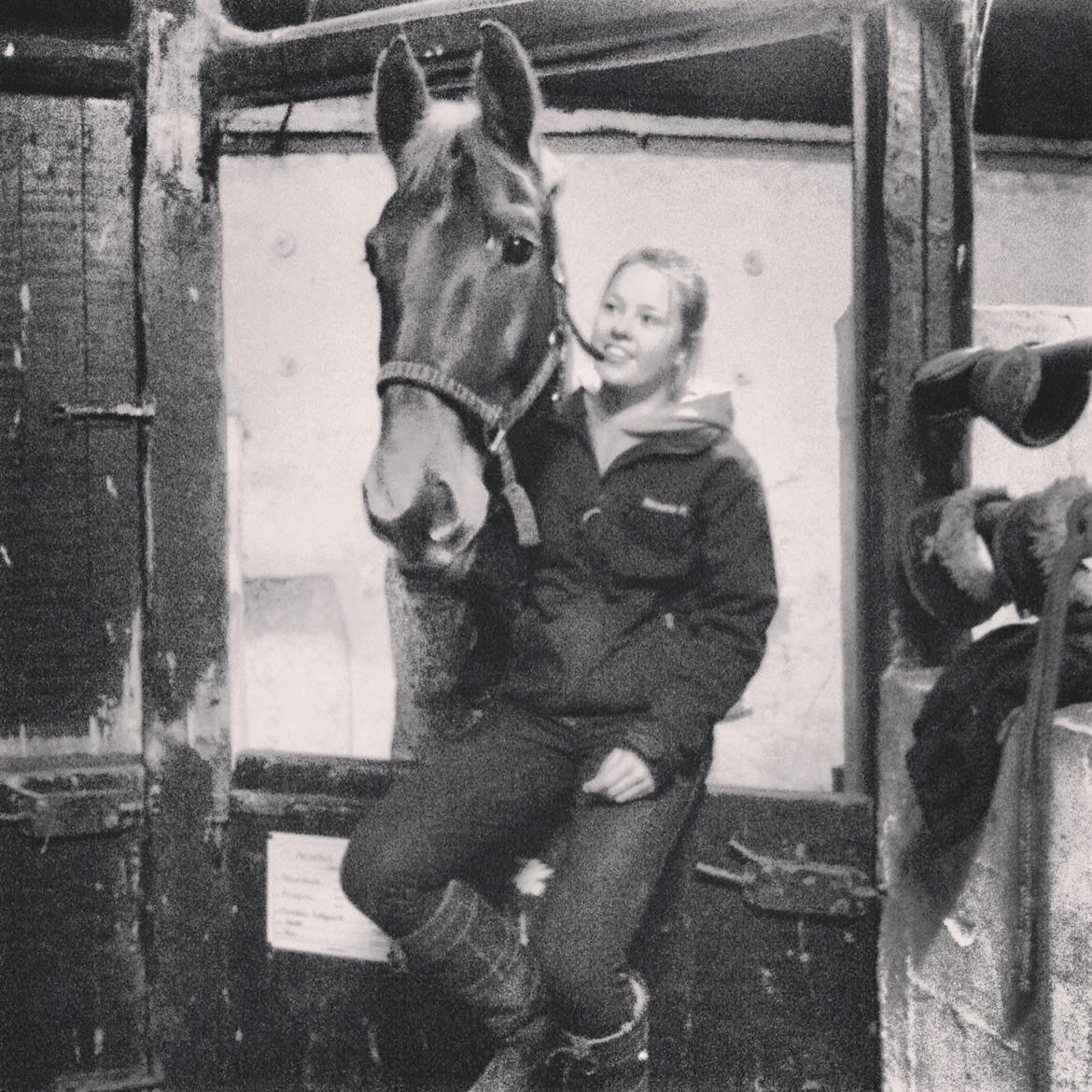 Anden særlig race Archellius *Stjernehest* - "A part of you has grown in me. And so you see, it´s you and me, Together forever and never apart, Maybe in distance, but never in heart.". Foto: Louise Waldhauer billede 4