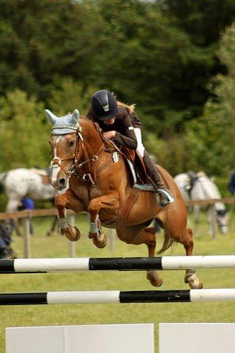 Anden særlig race Sweet Cherry [B-Pony] Aflivet - Skønne dyr<3 billede 2