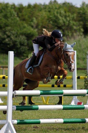 Anden særlig race Sweet Cherry [B-Pony] Aflivet billede 4