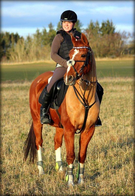 Hollandsk Sportspony Harpo Van De Haverkamp (Stanley) (himmelhest) - En skøn forårsdag med Stanley<3 billede 8