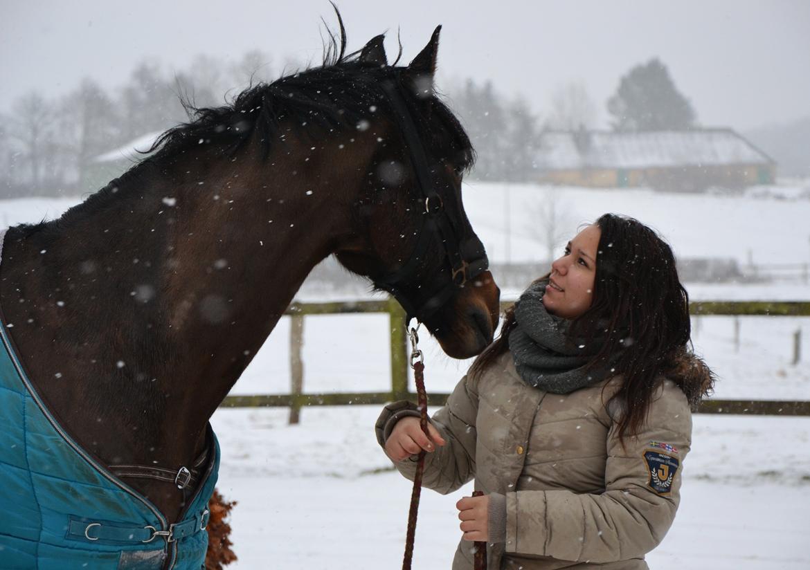 Holstener Landuc B I Duggi I billede 10