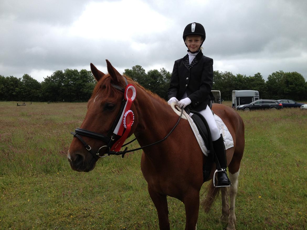 Pinto My Rosenkvist billede 20