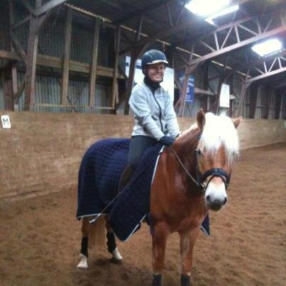 Haflinger Sarotti - Sarotti efter kold træning - December 2012 billede 19