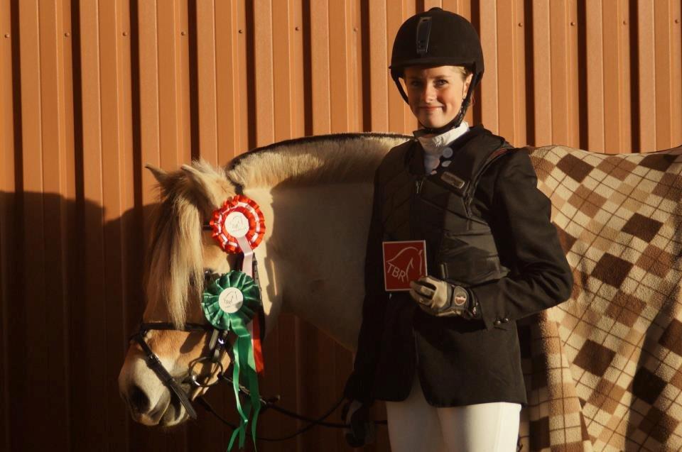 Fjordhest Buster billede 4