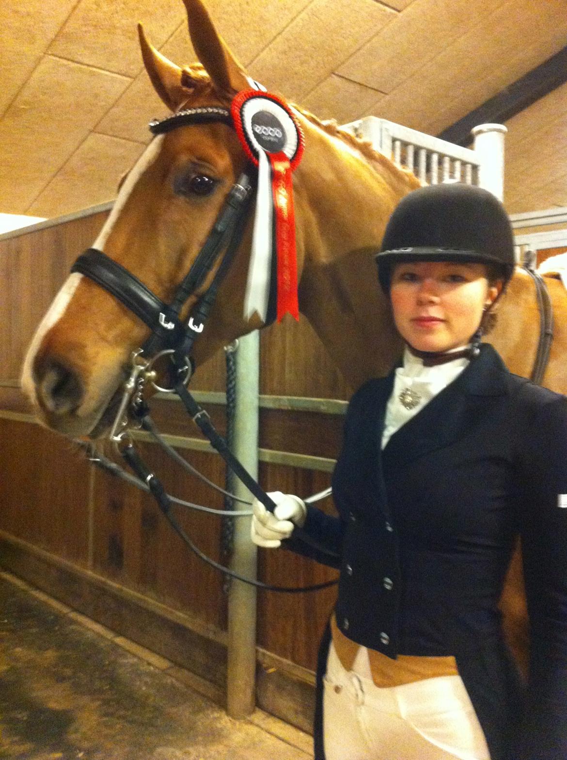 Hollandsk Varmblod Alpha de Jeu - 6. Plads i ECCO CUP 2012 Junior billede 12