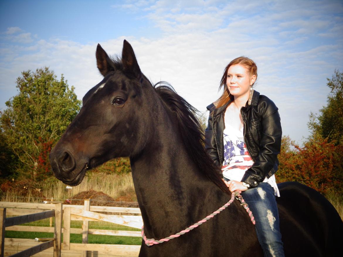 Anden særlig race Miss Shadow billede 10