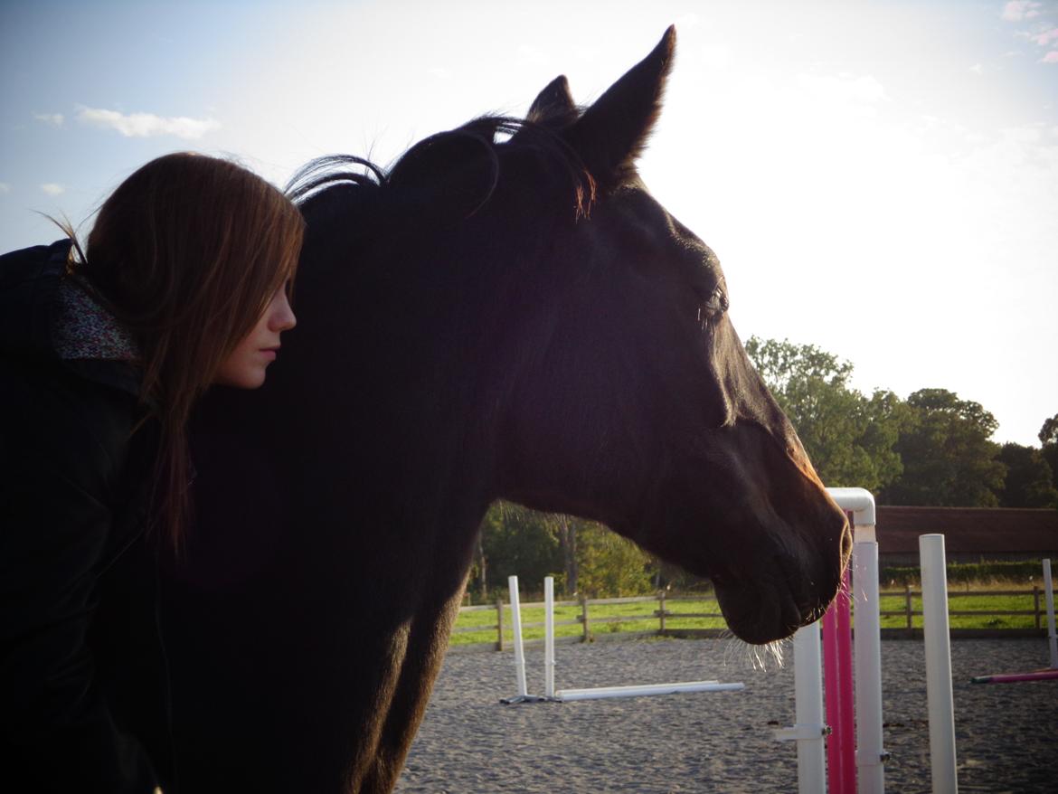 Anden særlig race Miss Shadow billede 11